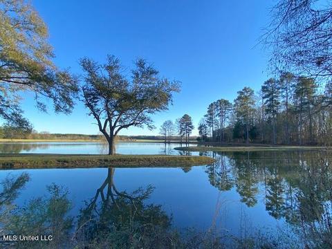 294 Boteler Rd, Florence, MS 39073 photo 49
