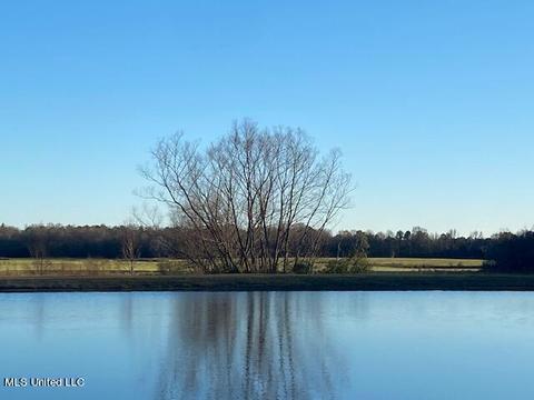 294 Boteler Rd, Florence, MS 39073 photo 5