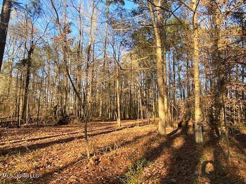 294 Boteler Rd, Florence, MS 39073 photo 53