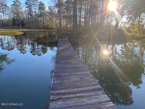 294 Boteler Rd, Florence, MS 39073 photo 46