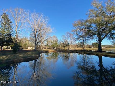 294 Boteler Rd, Florence, MS 39073 photo 50