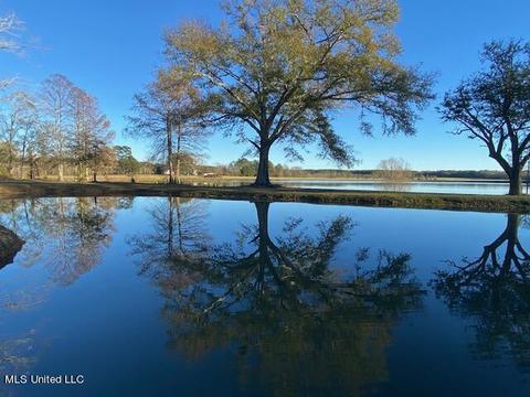 294 Boteler Rd, Florence, MS 39073 photo 48