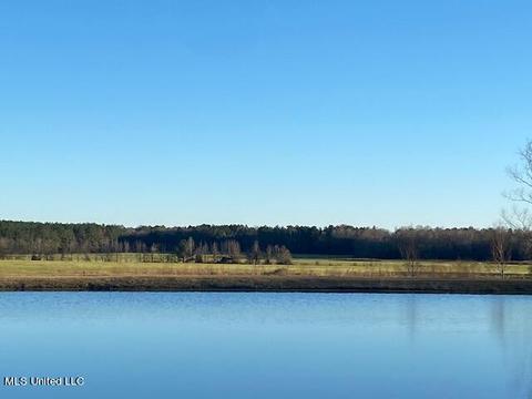 294 Boteler Rd, Florence, MS 39073 photo 4