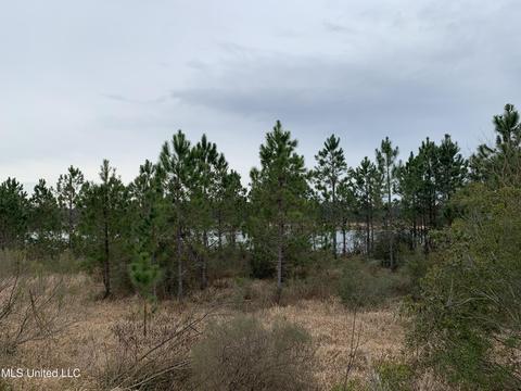 14958 E Shadow Creek Dr, Biloxi, MS 39532 photo 74