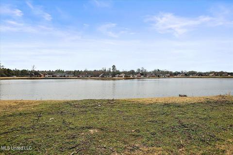 365 Mallory Dr, Byram, MS 39272 photo 38