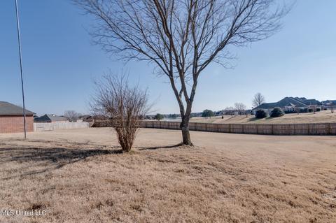 12809 Pine Needle Cv, Olive Branch, MS 38654 photo 49