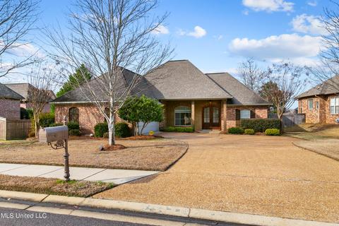 587 Turtle Ln, Brandon, MS 39047 photo 1