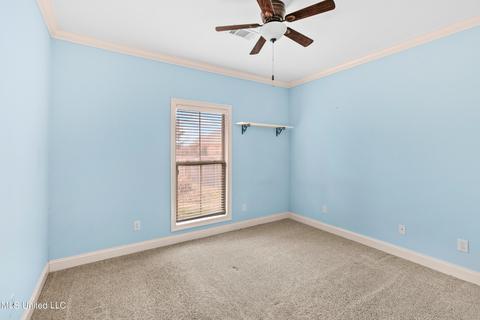 587 Turtle Ln, Brandon, MS 39047 photo 33