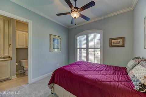 101 Esther Cv, Madison, MS 39110 photo 36