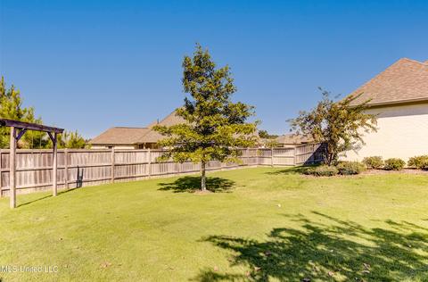 101 Esther Cv, Madison, MS 39110 photo 49