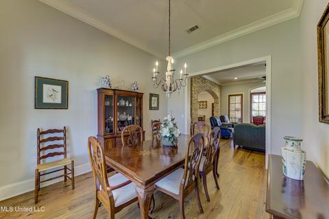 101 Esther Cv, Madison, MS 39110 photo 20