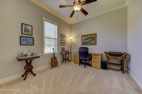 101 Esther Cv, Madison, MS 39110 photo 37