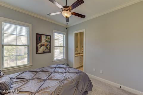 101 Esther Cv, Madison, MS 39110 photo 32