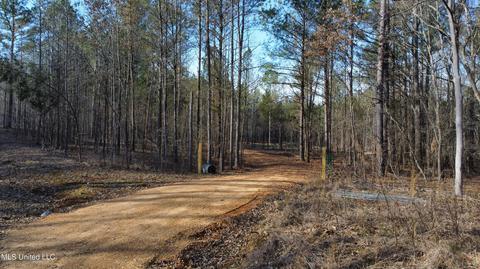 6974 Vaiden Rd, Hernando, MS 38632 photo 3