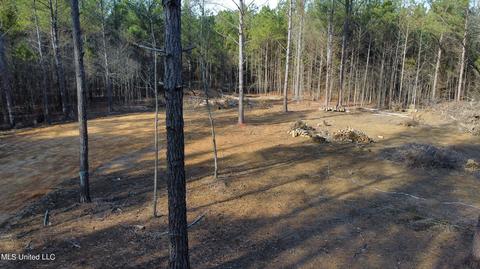 6974 Vaiden Rd, Hernando, MS 38632 photo 6