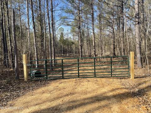 6974 Vaiden Rd, Hernando, MS 38632 photo 2