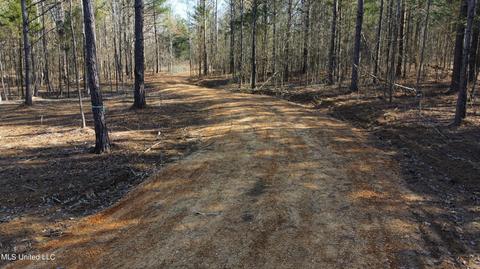 6974 Vaiden Rd, Hernando, MS 38632 photo 10