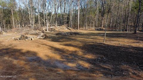 6974 Vaiden Rd, Hernando, MS 38632 photo 9