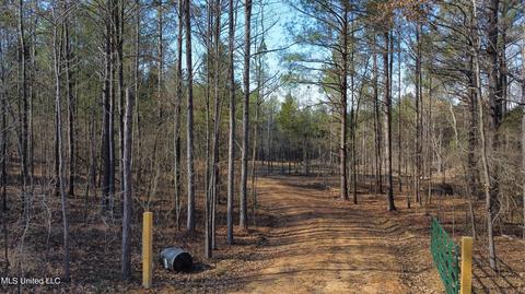 6974 Vaiden Rd, Hernando, MS 38632 photo 4