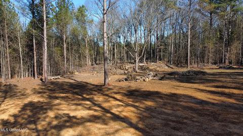 6974 Vaiden Rd, Hernando, MS 38632 photo 7
