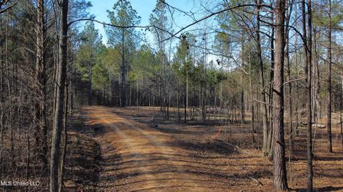 6974 Vaiden Rd, Hernando, MS 38632 photo 5