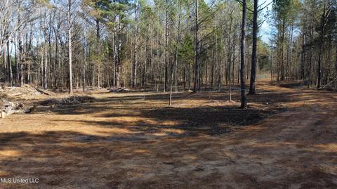 6974 Vaiden Rd, Hernando, MS 38632 photo 8