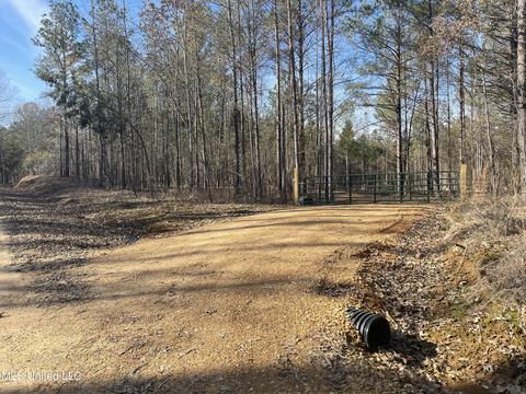 6974 Vaiden Rd, Hernando, MS 38632 photo 1