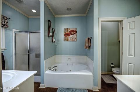 115 Wendy Ln, Madison, MS 39110 photo 18