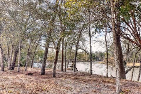 3919 Riverview Dr, Biloxi, MS 39532 photo 80