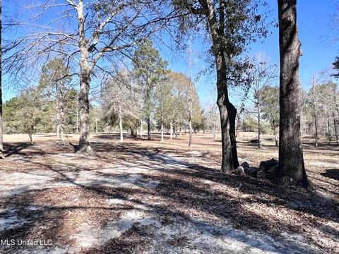 8504 Section Rd, Lucedale, MS 39452 photo 7