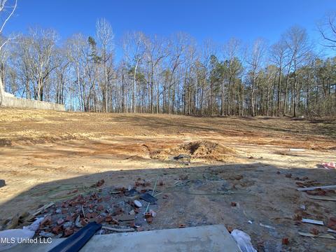 136 St Charles Ave, Florence, MS 39073 photo 22