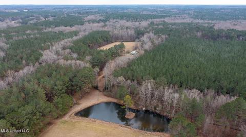 9340 Whites Rd, Weir, MS 39772 photo 7