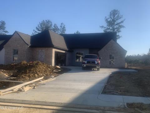 211 Herons Bay Cir, Madison, MS 39110 photo 1