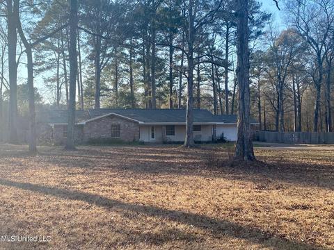4049 Mangum Dr, Flowood, MS 39232 photo 1