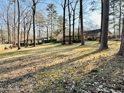 71 Glenway Pl, Brandon, MS 39042 photo 39