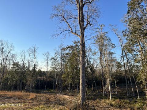 143 Beaver Dam Rd, Mchenry, MS 39561 photo 11