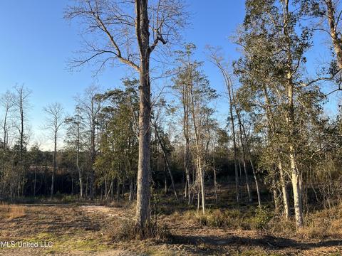 143 Beaver Dam Rd, Mchenry, MS 39561 photo 12