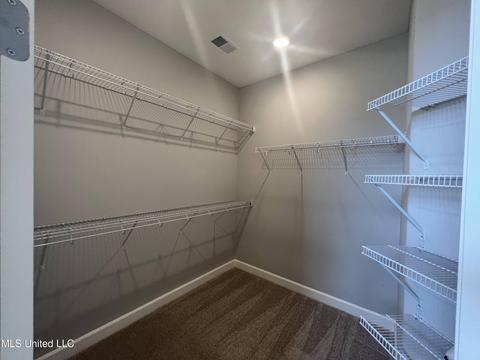 3324 Kreunen St, Nesbit, MS 38651 photo 10