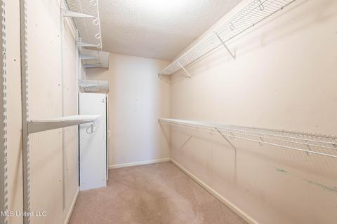 9500 Taylor Dr, Olive Branch, MS 38654 photo 20