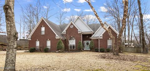3293 Pankins Park Pl, Nesbit, MS 38651 photo 1