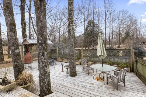 3293 Pankins Park Pl, Nesbit, MS 38651 photo 33