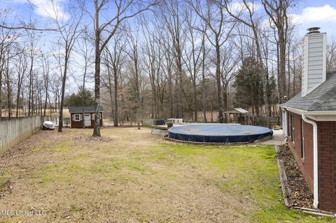 3293 Pankins Park Pl, Nesbit, MS 38651 photo 30