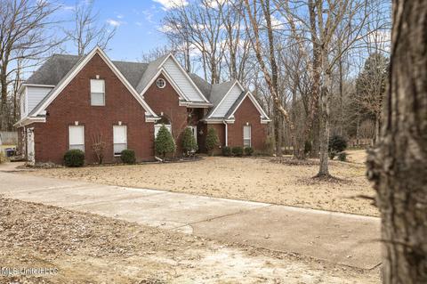 3293 Pankins Park Pl, Nesbit, MS 38651 photo 2