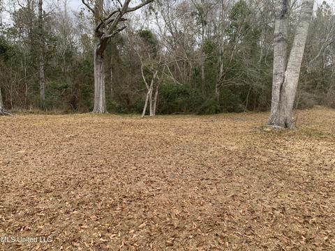 23637 Saucier Lizana Rd, Saucier, MS 39574 photo 24