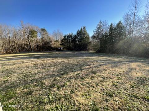 1650 Pryor Rd, Coldwater, MS 38618 photo 2