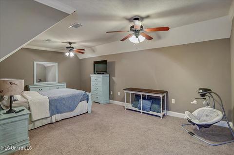 435 Julee Cir, Brandon, MS 39042 photo 36