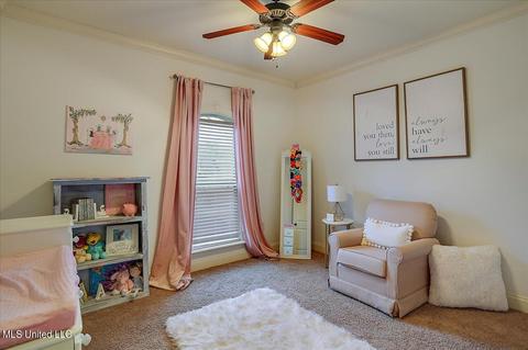 435 Julee Cir, Brandon, MS 39042 photo 29