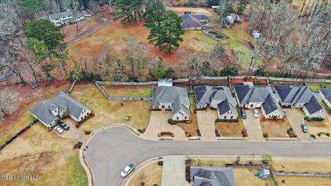 435 Julee Cir, Brandon, MS 39042 photo 55