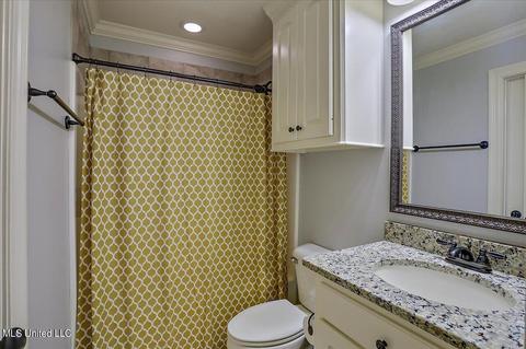 435 Julee Cir, Brandon, MS 39042 photo 35
