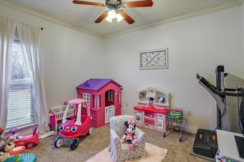 435 Julee Cir, Brandon, MS 39042 photo 31